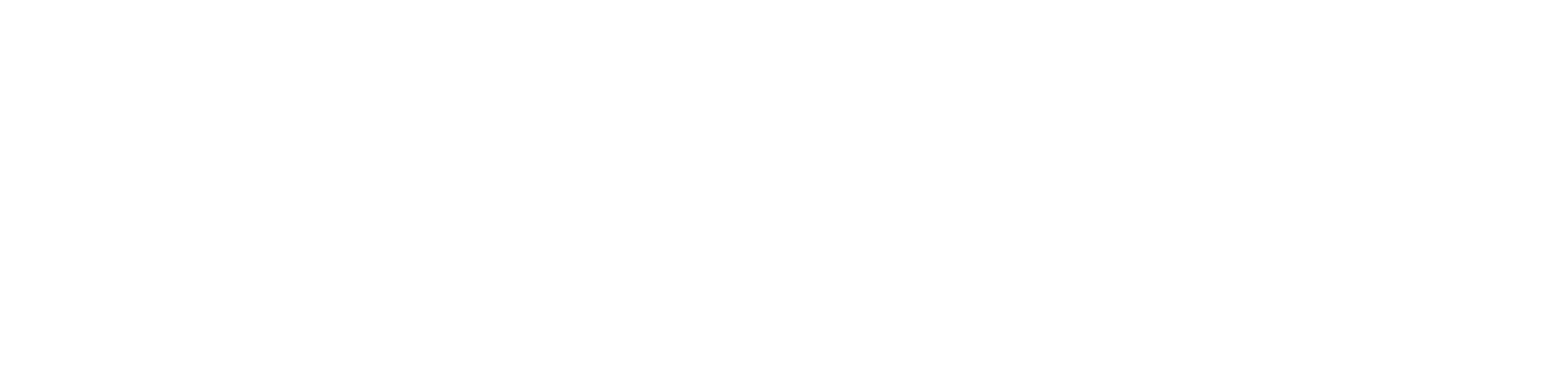 Selva Investment Banking